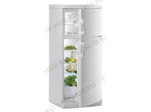 Холодильник Gorenje K25TCLA (229497, HZS2766) - Фото